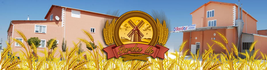 bardasundegirmeni